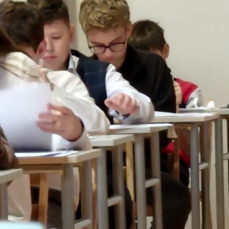 Wyświetl org. rozmiar