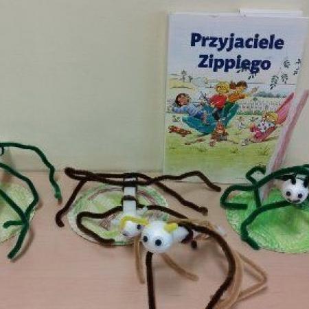 Wyświetl org. rozmiar