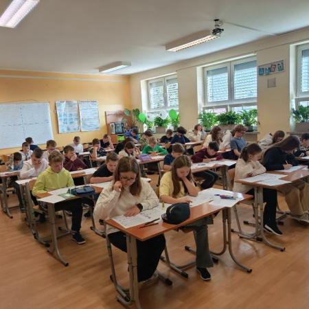 Wyświetl org. rozmiar